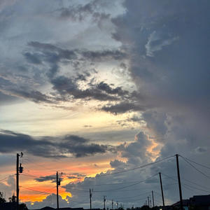 Can't Keep Going Like This