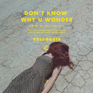 Don't Know Why U Wonder (Prod. Holymoley!)