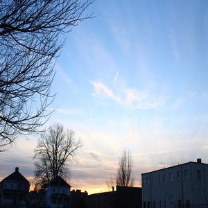 Usopp pirates (Explicit)