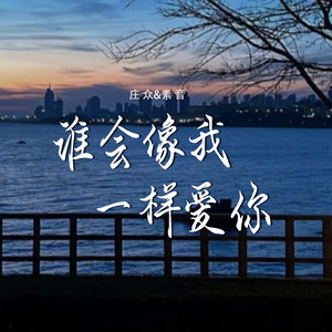 谁会像我一样爱你 (对唱版伴奏)