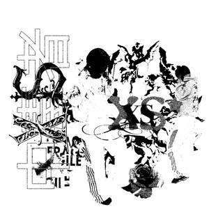 Rich Flaws (Explicit)