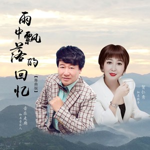 雨中飘落的回忆 (舞曲版)封面