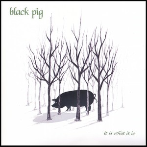 Black Pig