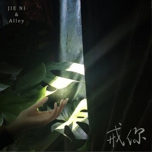 叁缺壹工作室 - 戒你