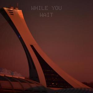 While You Wait (Explicit)