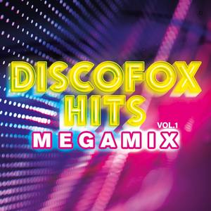 Discofox Hits Megamix, Vol. 1