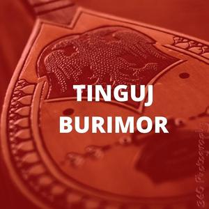 Tinguj Burimor