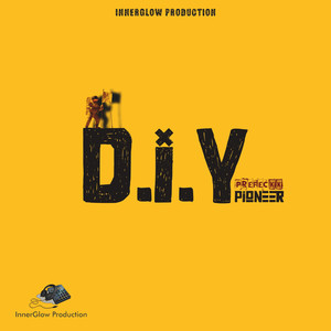 D.I.Y Pioneer