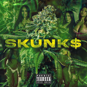 Skunk $ (Explicit)