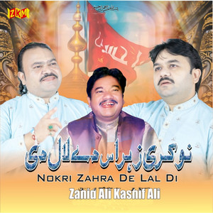 Nokri Zahra De Lal Di