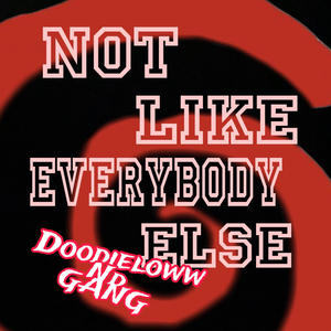 Not Like Everybody Else (Explicit)