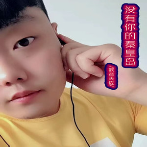 没有你的秦皇岛 (伴奏)