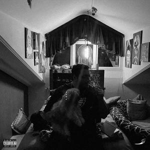 Shans - Fly Room (feat. Alfenon) (Explicit)