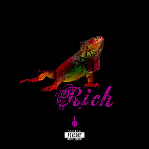 Rich (Explicit)