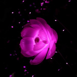 思念是阵风 (合唱版伴奏)