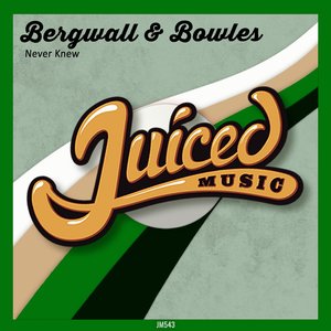 Never Knew (Club Mix)