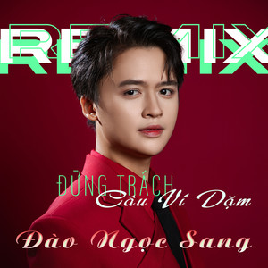 Đừng Trách Câu Ví Dặm (Remix)