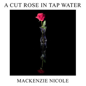 A Cut Rose In Tap Water