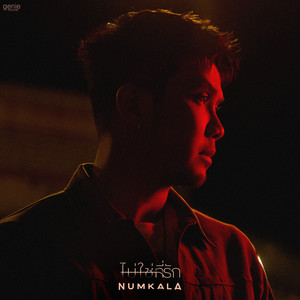 ไม่ใช่ที่รัก