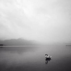 No Wind (feat. Zach Moats, Matthew Bulleit & Absalom O'Neal)