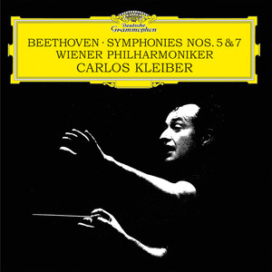 Wiener Philharmoniker - Symphony No. 5 in C Minor, Op. 67 - I. Allegro con brio (c小调第五号交响曲， Op. 67 - 第一乐章 有活力的快板)