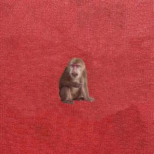 刘森 - 过去来的人