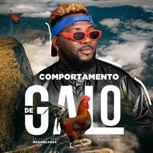 Comportamento de Galo (Explicit)