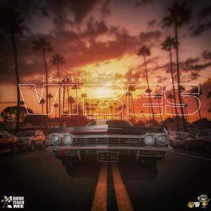 Vibes (feat. Josteelo) (Explicit)
