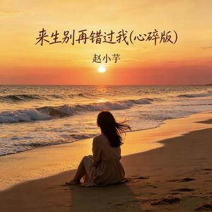 来生别再错过我 (心碎版)