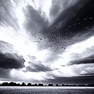 SHOOT IT (feat. Lil Seeto) (Explicit)