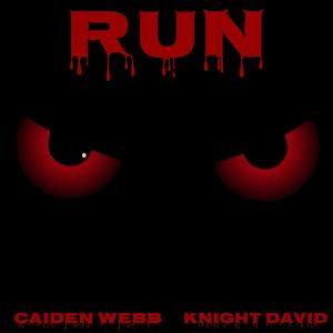 Run (feat. Knight David) [Explicit]