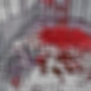 13 reasons (feat. ex dante & pistoria) (Explicit)