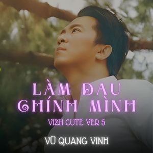 Làm Đau Chính Mình (Vizh Vinahosue Version 5)