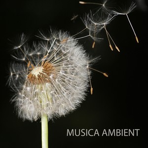 Musica Ambient