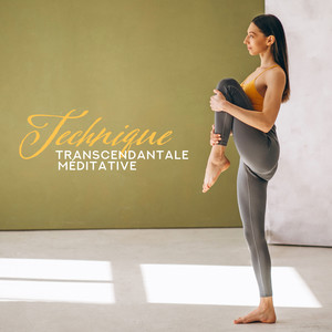 Jardin japonaise, Musique pour le spa