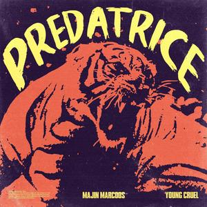 Predatrice