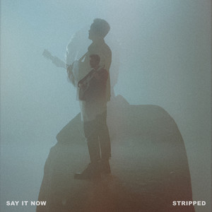 Say It Now (Stripped)