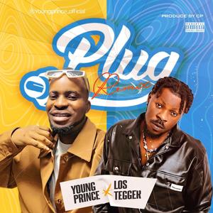 Plug (feat. Los Tegger) (Remix)