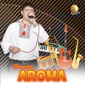 Muzica Moldoveneasca cu Formatia Aroma (Live)