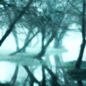 SHXDWBLNDNSS - Radiance Eternity