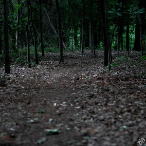 C4, Pills, and a Bullet in my Chest