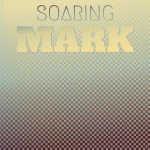 Soaring Mark