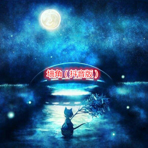 摘星少年