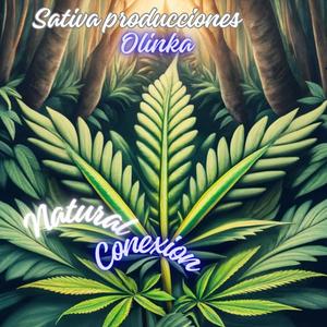 Natural Conexion ( Riddim )