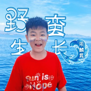 野蛮生长-朱麟晁