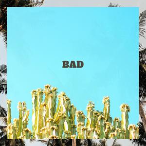 Bad(feat. N*word) (Explicit)