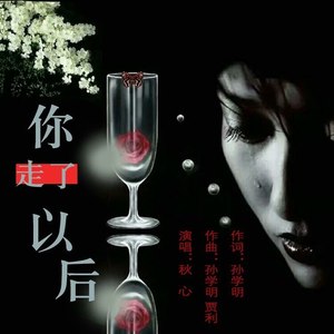 你走了以后