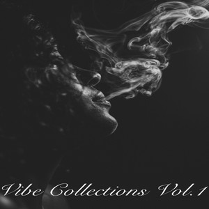 Vibe Collections,Vol.1 (Explicit)