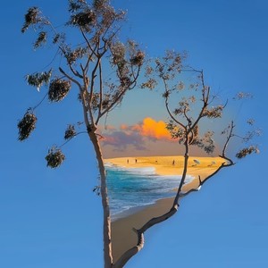 是非题-ProdbyMend&钟泥可