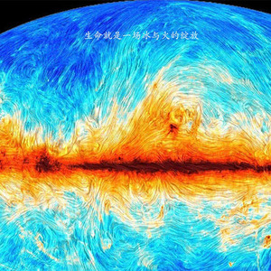 生命就是一场冰与火的绽放